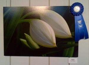 Artist Lorenzo Cassina Was The Winner Of The 2013 Photo Contest In The Garden Category At Flamingo Gardens In Davie, Florida